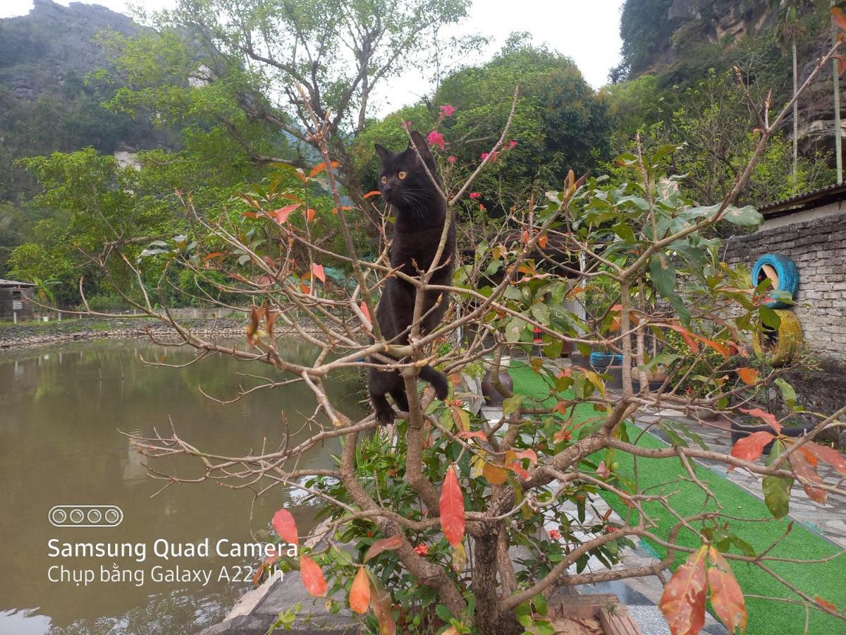 Trang An Pristine View Homestay Ninh Bình Exteriör bild