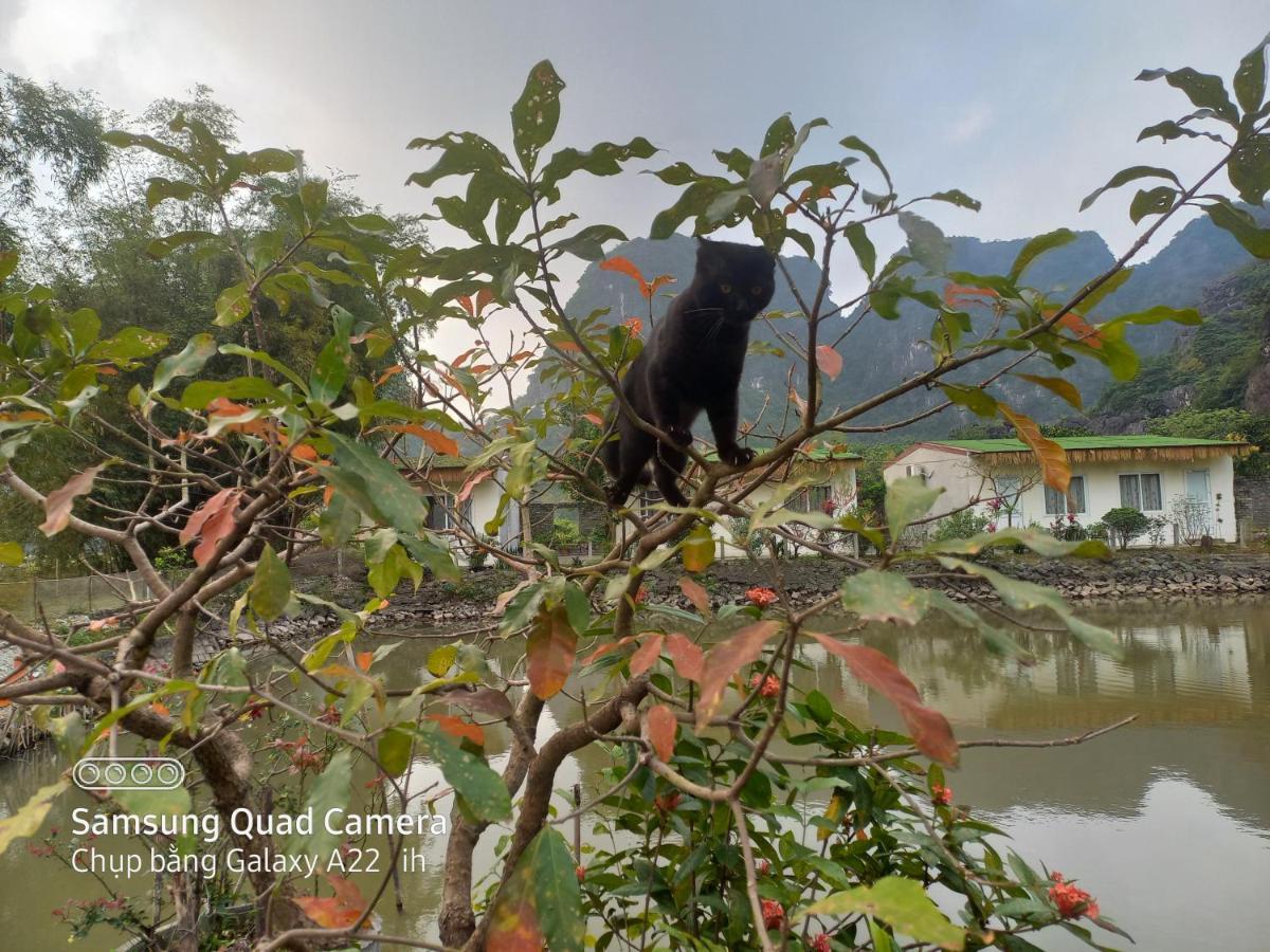 Trang An Pristine View Homestay Ninh Bình Exteriör bild