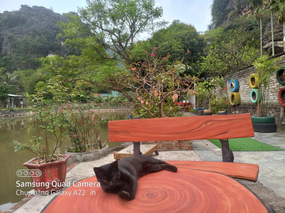 Trang An Pristine View Homestay Ninh Bình Exteriör bild